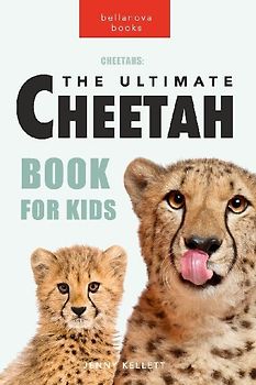 Cheetahs