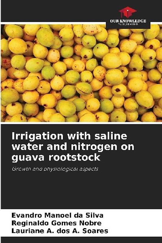 Irrigation with saline water and nitrogen on guava rootstock