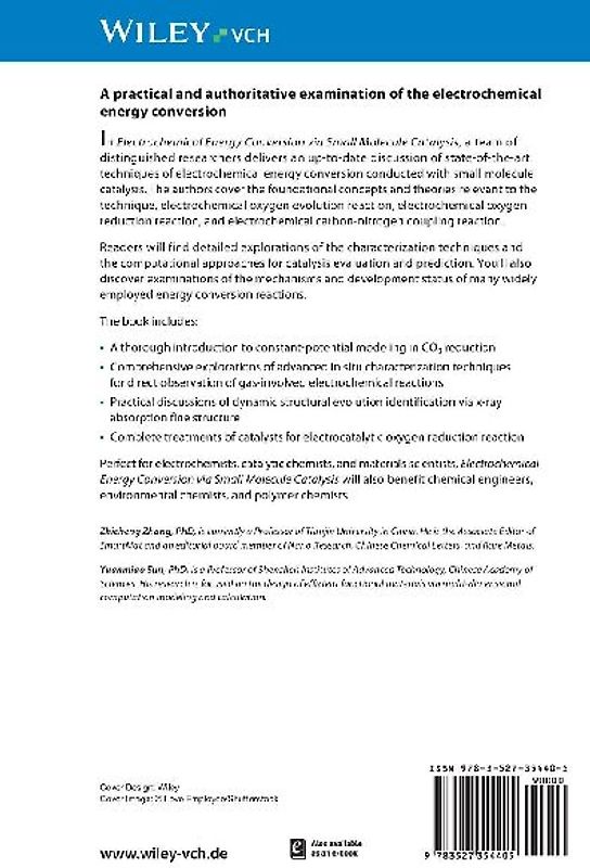 Electrochemical Energy Conversion via Small Molecule Catalysis