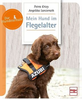 Mein Hund im Flegelalter