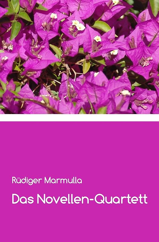 Das Novellen-Quartett