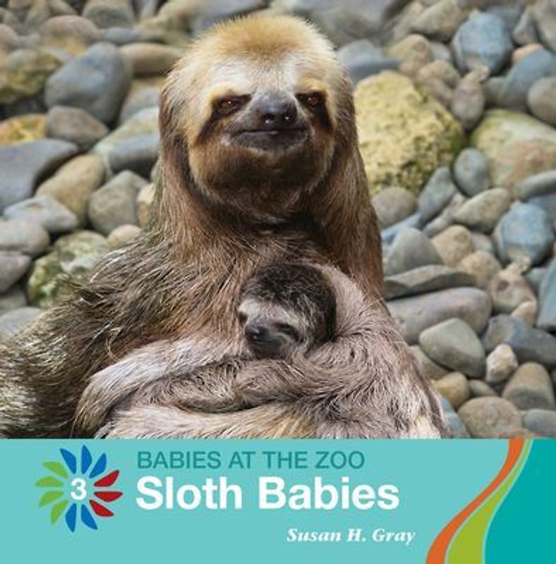 Sloth Babies