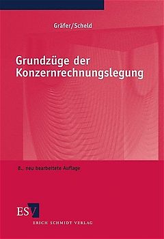 Grundzüge der Konzernrechnungslegung