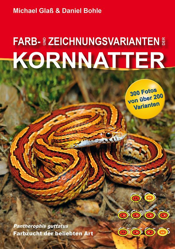 Farb- und Zeichnungsvarianten der Kornnatter
