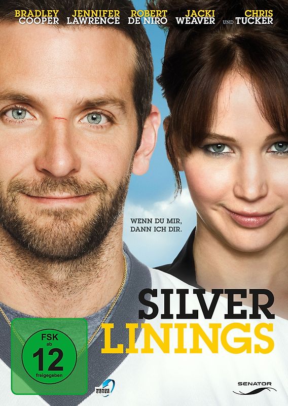 Silver Linings DVD