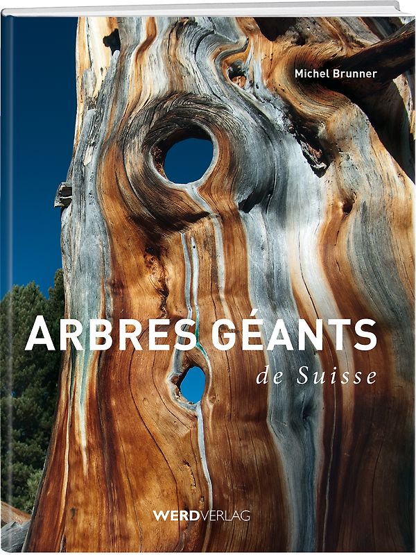 Arbres géants de Suisse