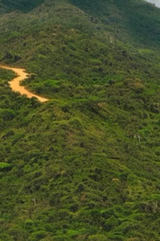 Jê peoples in the Americas: indigenous land use and resistance against the forces of destruction