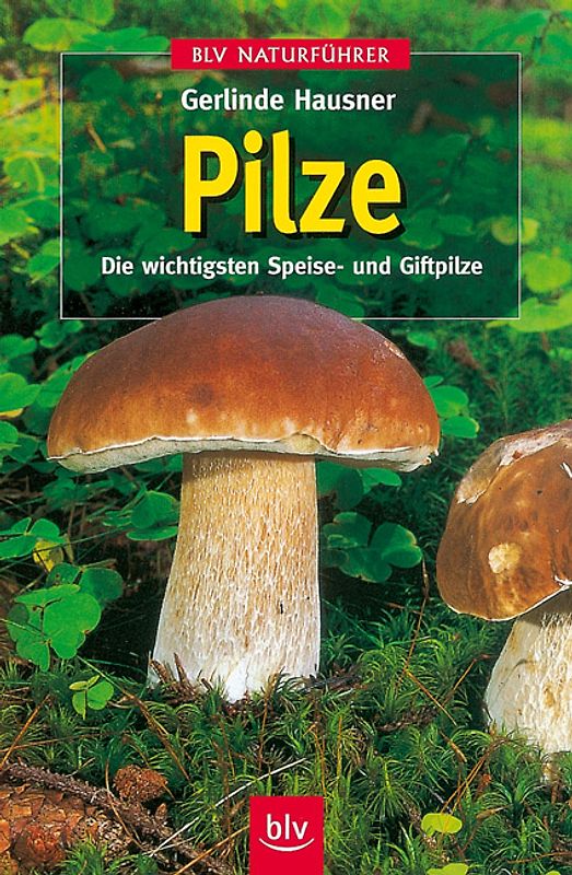 Pilze