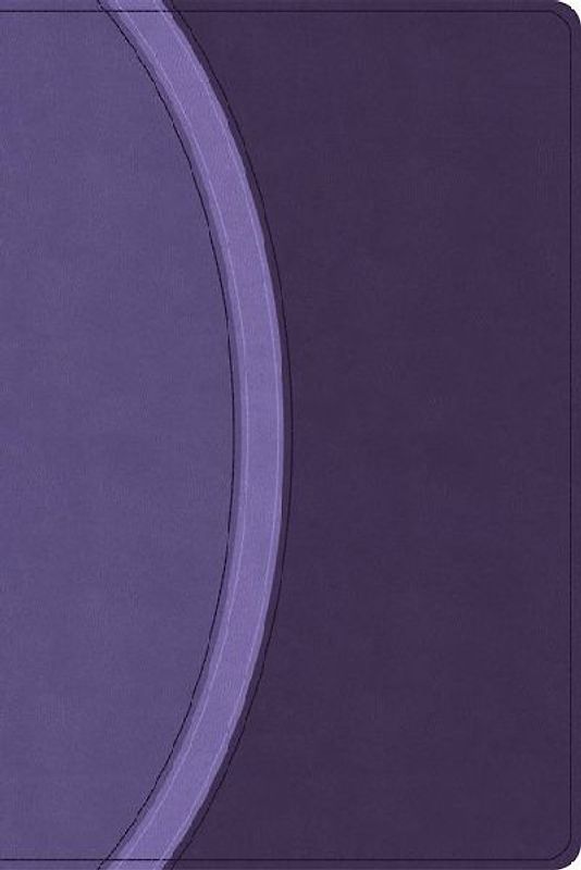 CSB Rainbow Study Bible, Purple Leathertouch (Limited Edition)