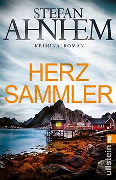 Herzsammler (Ein Fabian-Risk-Krimi 2)