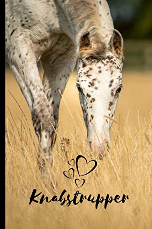 Knabstrupper Horse Notebook For Horse Lovers: Composition Notebook 6x9" Blank Lined Journal