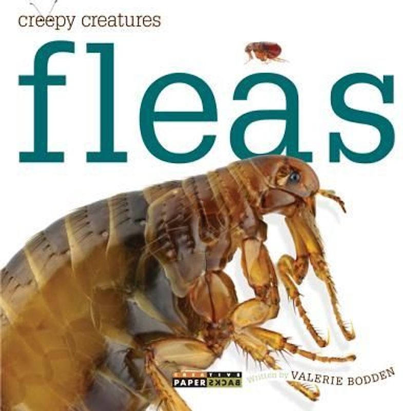 Fleas