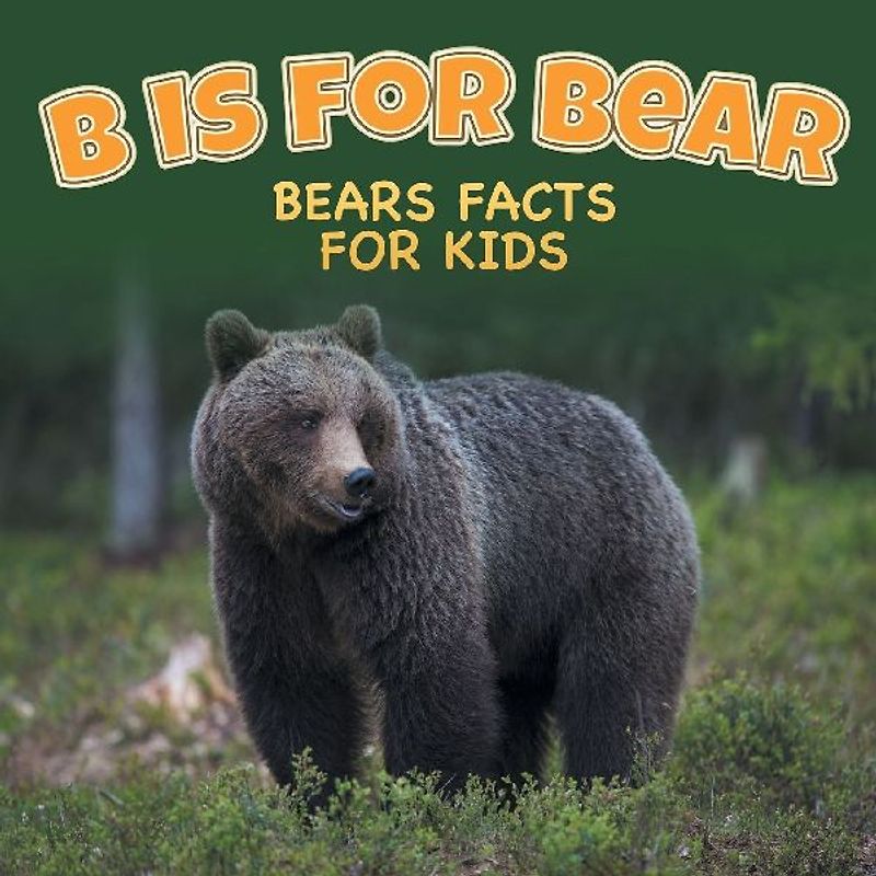 B is for Bear