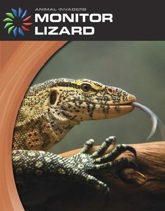 Monitor Lizard