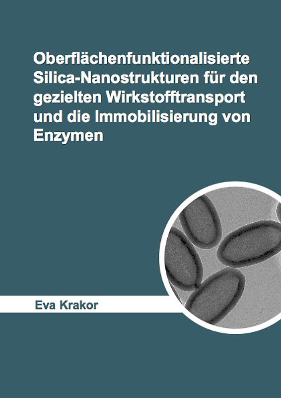 Oberflächenfunktionalisierte Silica-Nanostrukturen für den gezielten Wirkstofftransport und die Immobilisierung von Enzymen