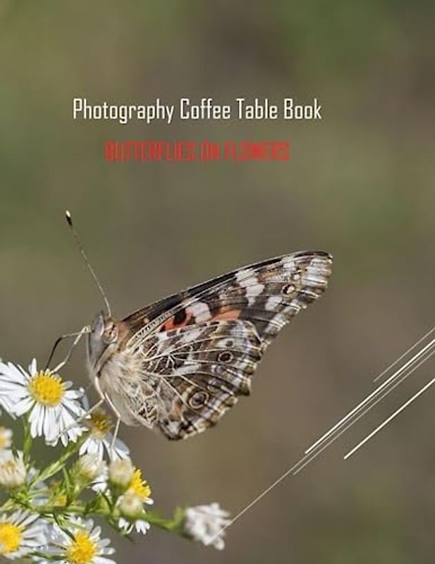 BUTTERFLIES ON FLOWERS Photography Coffee Table Book: BUTTERFLIES ON FLOWERS Photography Coffee Table Book for All: An Amazing Group Of Pictures For ... Images (8.5"*11") Paperback March 18,2023 .