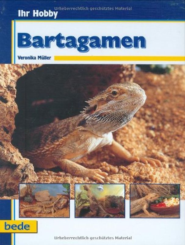 Ihr Hobby Bartagamen