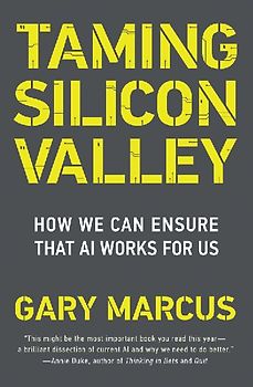 Taming Silicon Valley