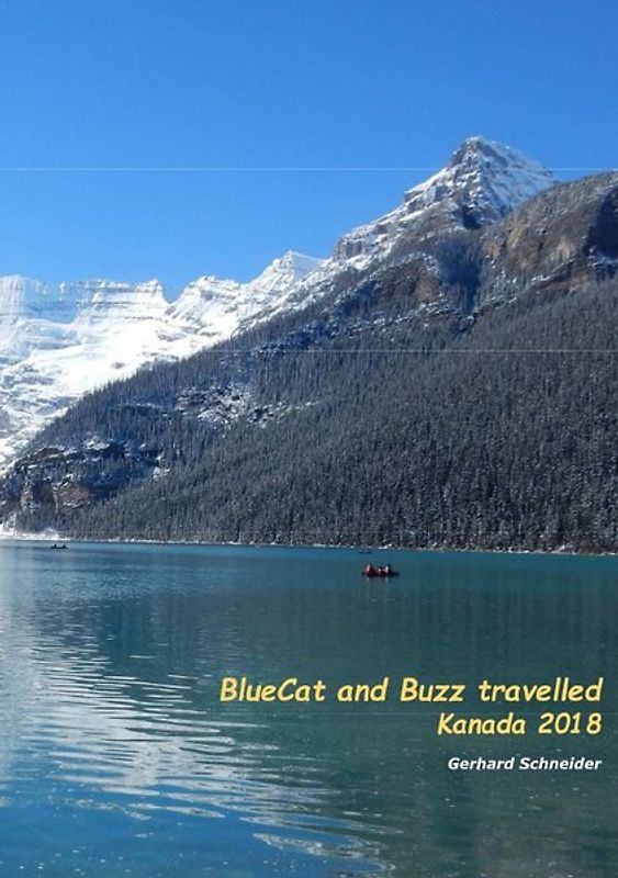 Buzz travelled / BlueCat and Buzz travelled