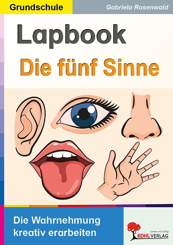 Lapbook Die fünf Sinne