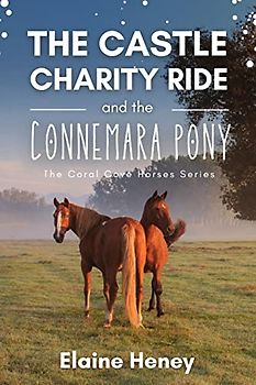 The Castle Charity Ride and the Connemara Pony - The Coral Cove Horses Series