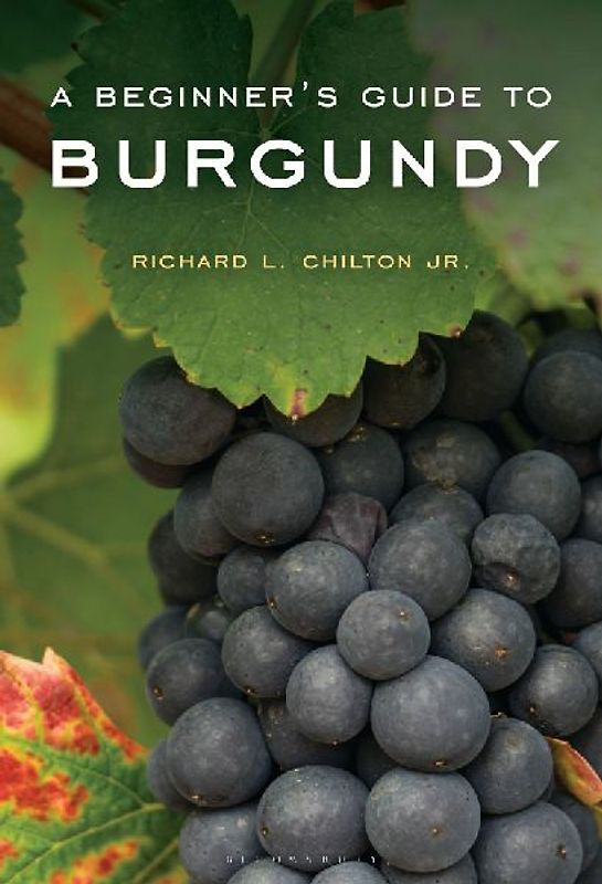 A Beginner's Guide to Burgundy