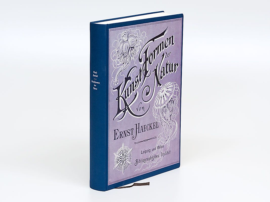 Kunstformen der Natur