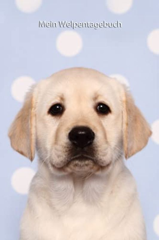 Mein Welpentagebuch: die ersten Monate mit meinem Labrador (Labrador Retriever in blond - Trainingstagebuch, Krankenakte, BARF Planer und Welpentagebuch)