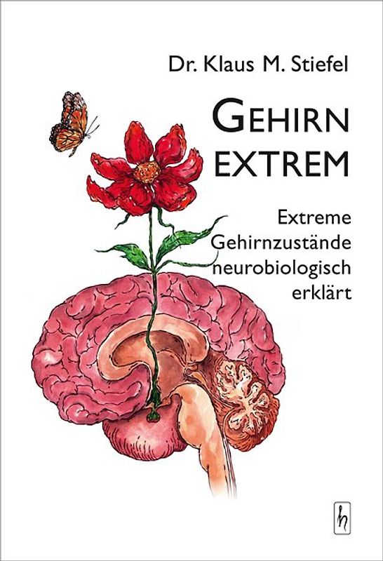 Gehirn extrem