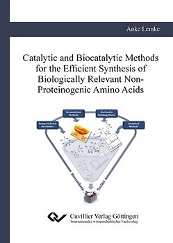 Catalytic and Biocatalytic Methods for the Efficient Synthesis of Biologically Relevant Non-Proteinogenic Amino Acids