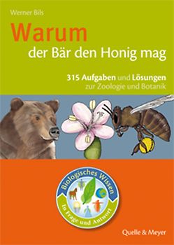 Warum der Bär den Honig mag