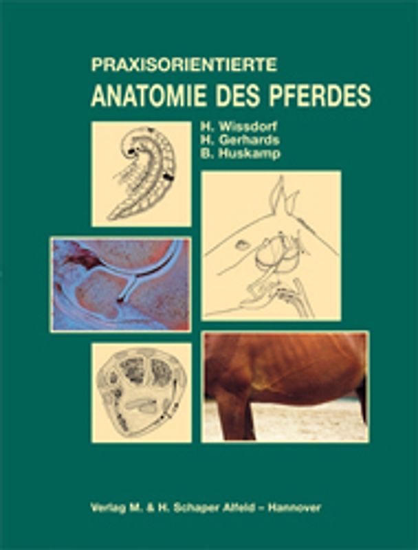 Praxisorientierte Anatomie des Pferdes