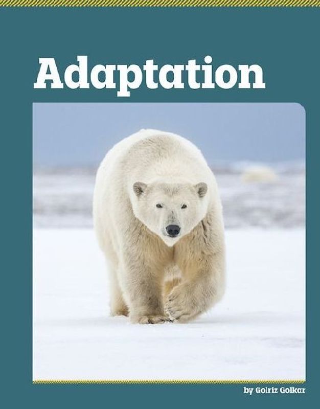Adaptation