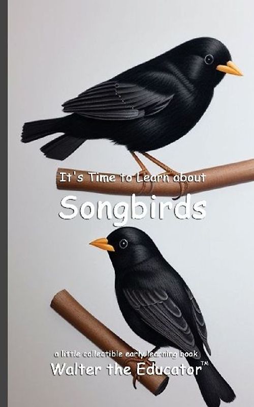 It's Time to Learn about Songbirds