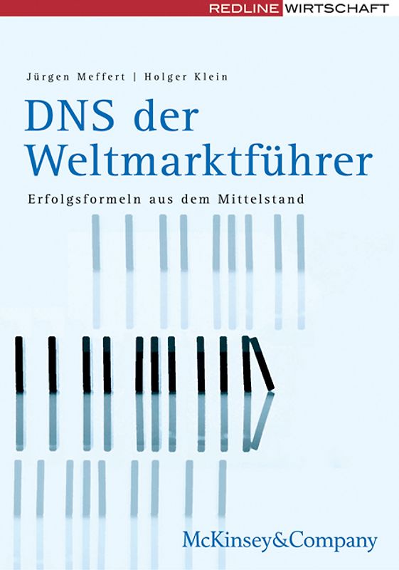 DNS der Weltmarktführer