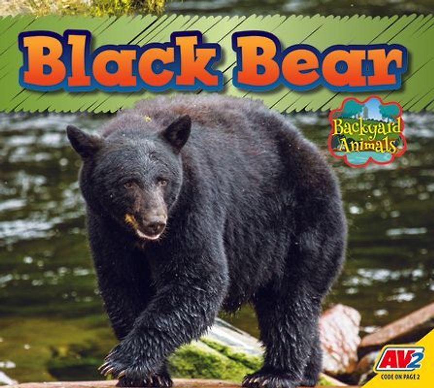 Black Bear