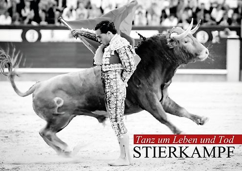Tanz um Leben und Tod – Stierkampf (Posterbuch DIN A2 quer)