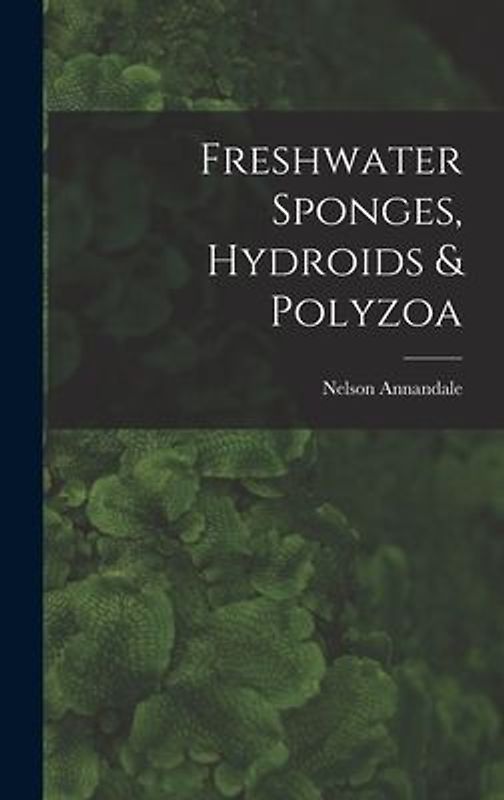 Freshwater Sponges, Hydroids & Polyzoa