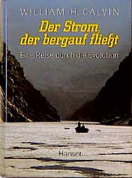 Der Strom, der bergauf fließt