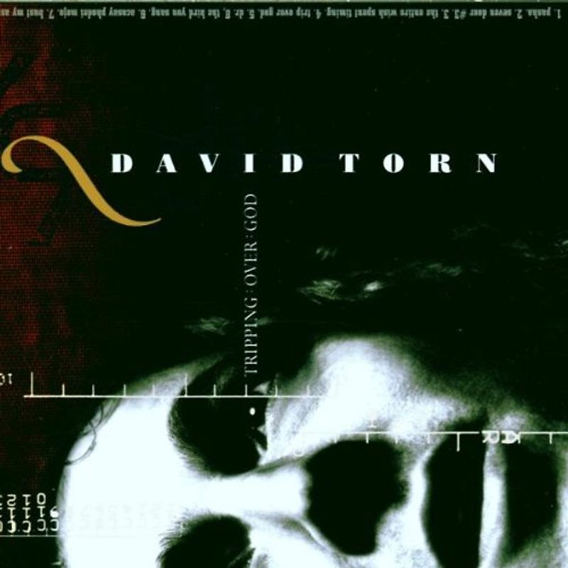Torn,David - Tripping Over God