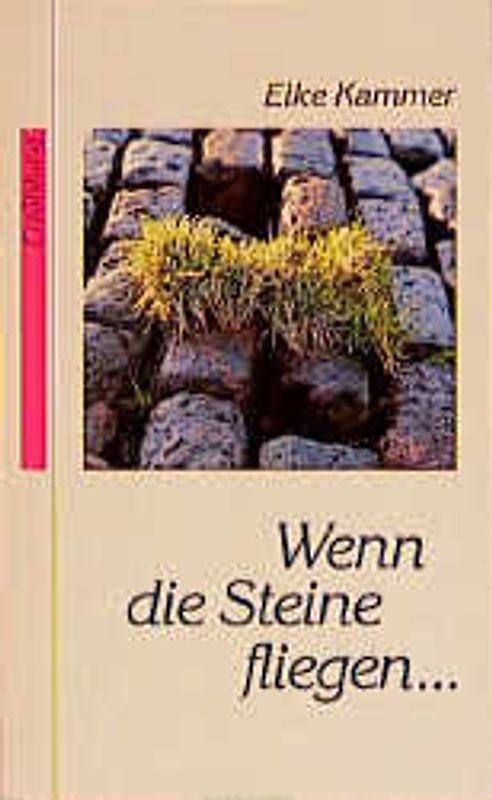 Wenn die Steine fliegen