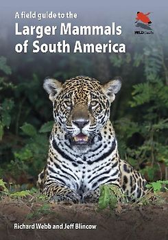 A Field Guide to the Larger Mammals of South America