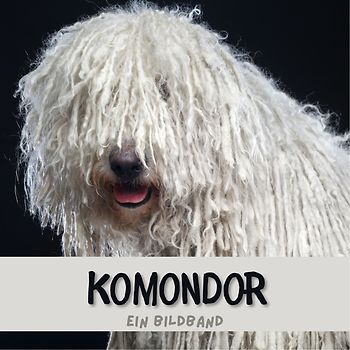 Komondor