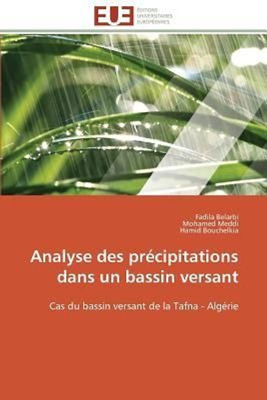 Analyse des précipitations dans un bassin versant