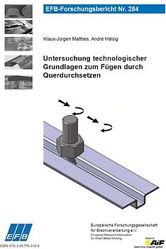 Untersuchung technologischer Grundlagen zum Fügen durch Querdurchsetzen