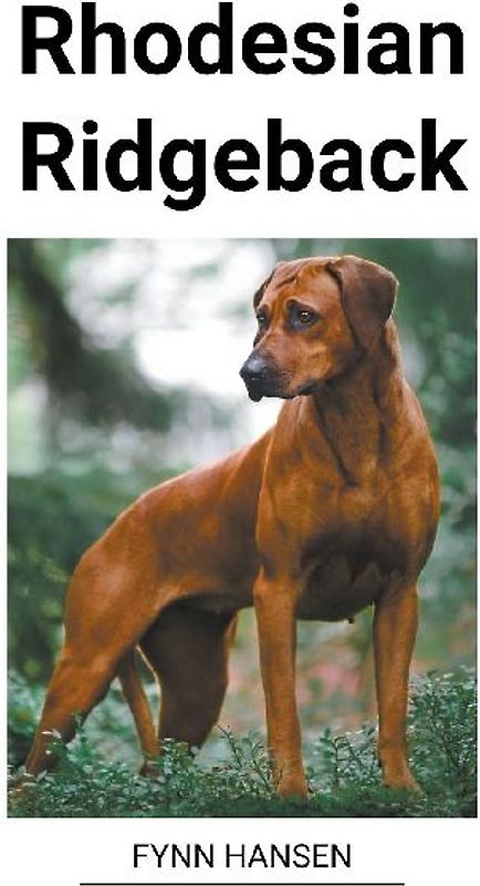 Rhodesian Ridgeback