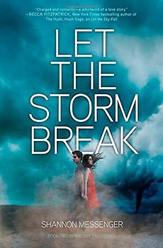 Let the Storm Break (Sky Fall, Band 2) - Messenger, Shannon