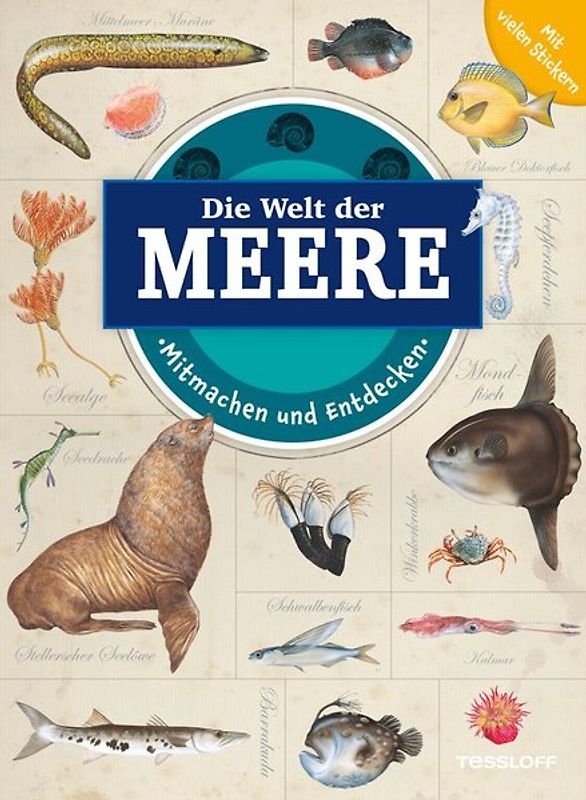 Mitmachen und Entdecken: Die Welt der Meere