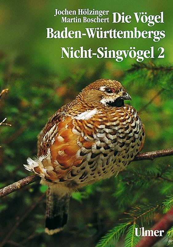 Die Vögel Baden-Württembergs Band 2.2 - Nicht-Singvögel 2