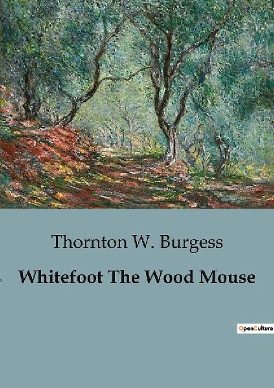 Whitefoot The Wood Mouse